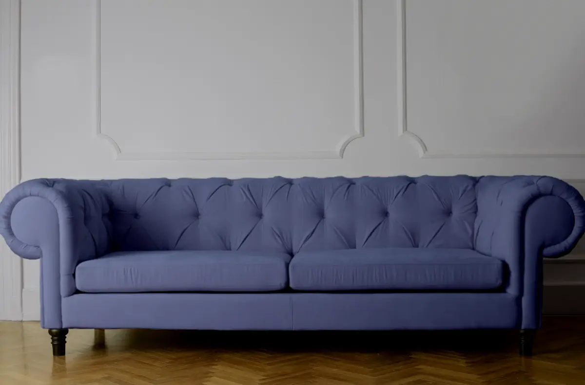 violet therapy sofa on hardwood floor